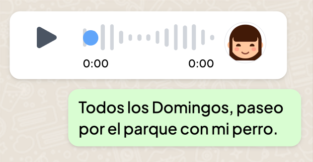 Lingo bites whatsapp conversation